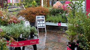 garden centre